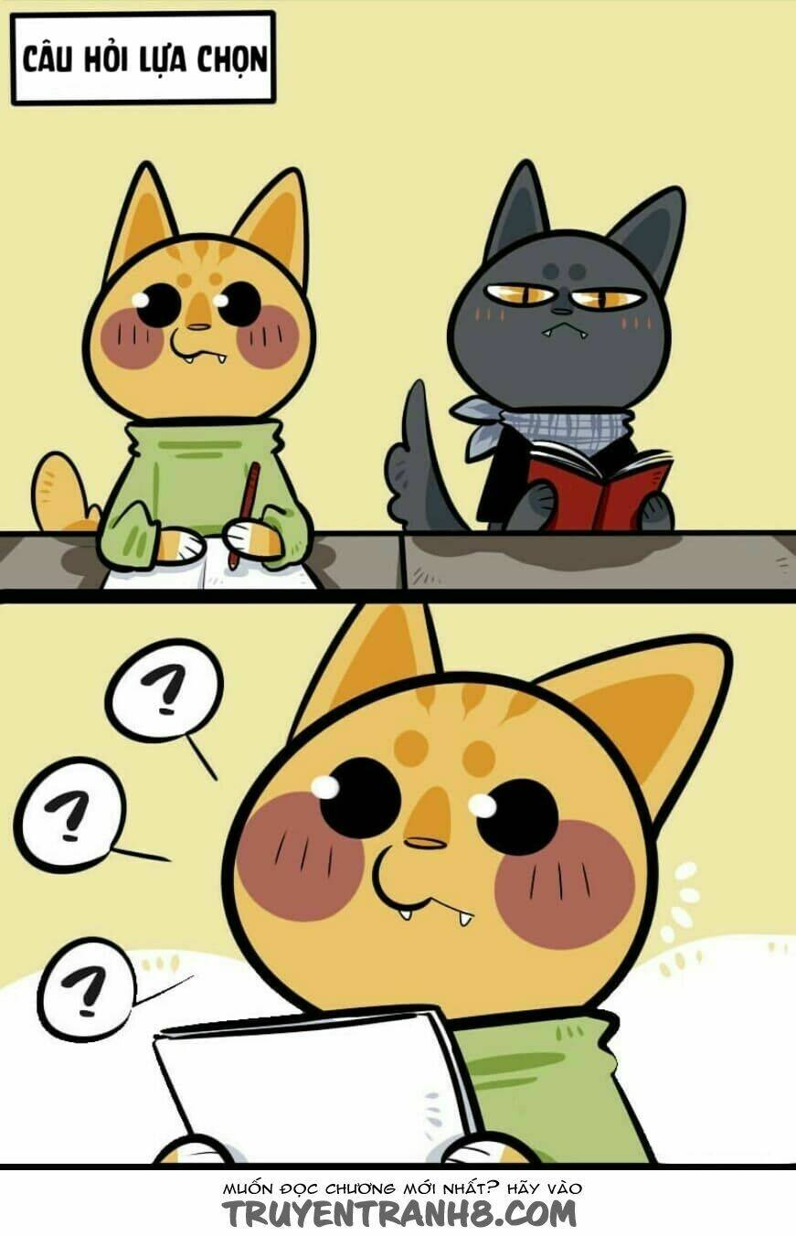 đời không như mình tưởng chapter 11 2