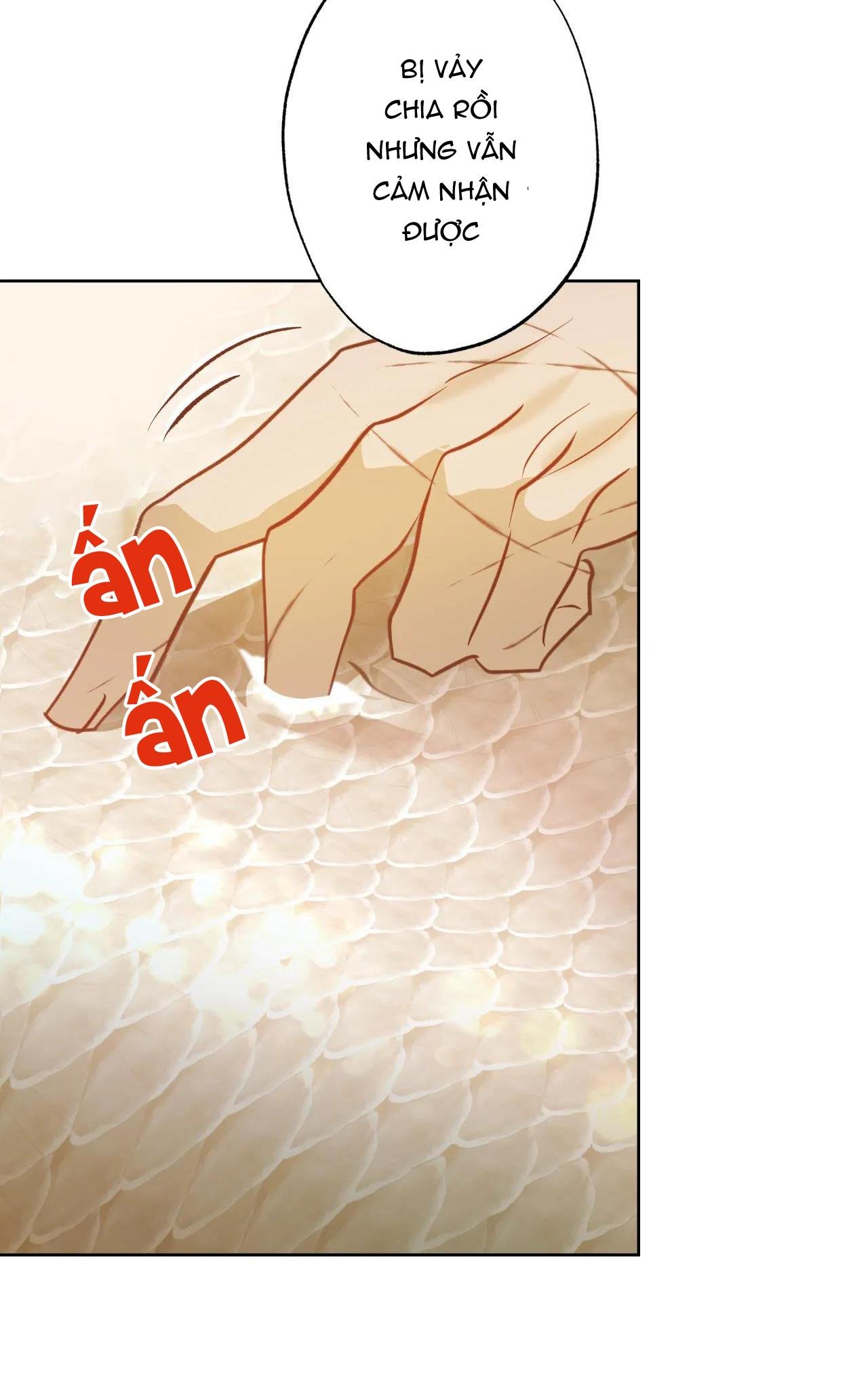 mỹ nhân ngư chapter 5 62