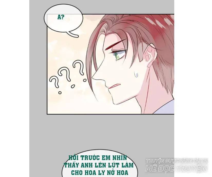 chiếc váy của người cá chapter 43 11