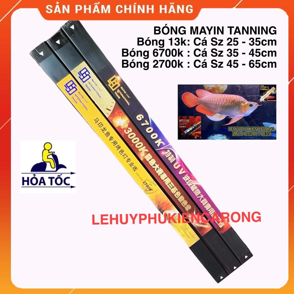 Đèn Bể Cá Chuyên Dụng Tanning Cho Cá Rồng Huyết Long Và Bối Vàng Bóng T5 13000k, 6700k, 2700k Thương Hiệu MAYIN