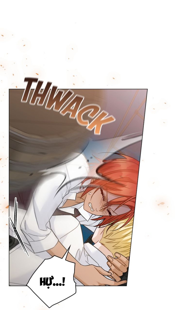 hải tặc thượng lưu chapter 29 24