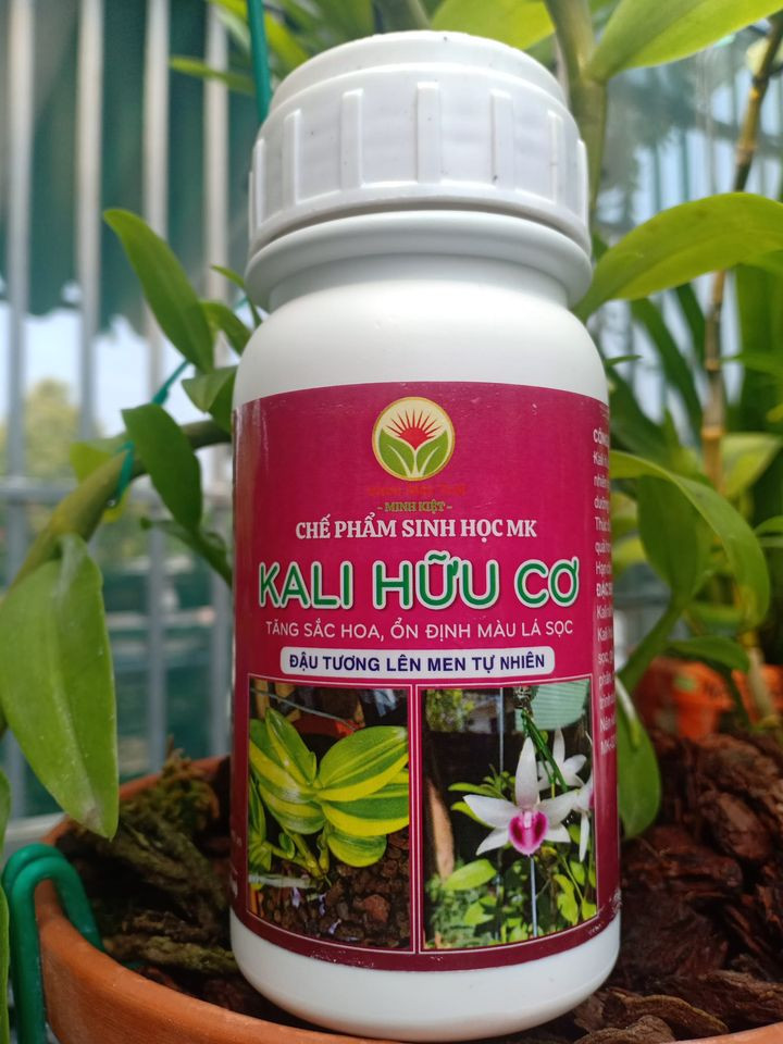Chế Phẩm Sinh Học KALI HỮU CƠ Tăng Sắc Hoa, Ổn Định Màu Lá Sọc