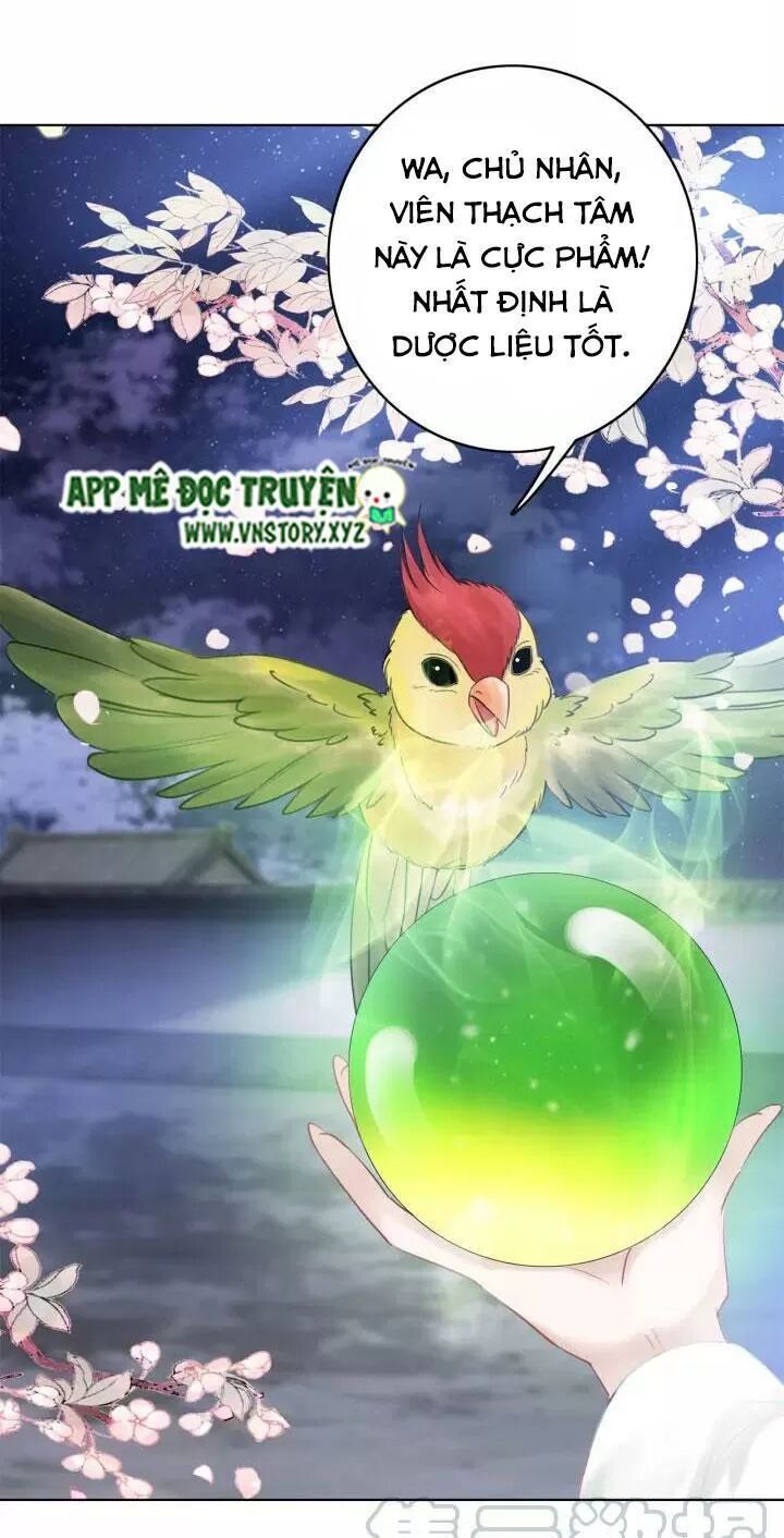 cực phẩm phế vật tiểu thư chapter 108 16