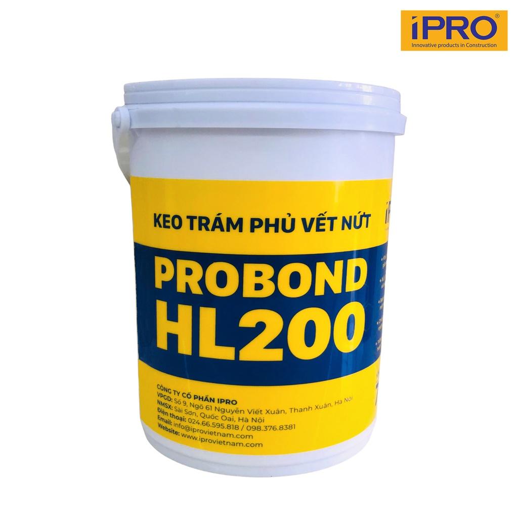 Keo xử lý nứt tường, trám vá tường PROBOND-HL200 (Bộ 1kg keo chống nứt và 100ml nước quét lót Primer)