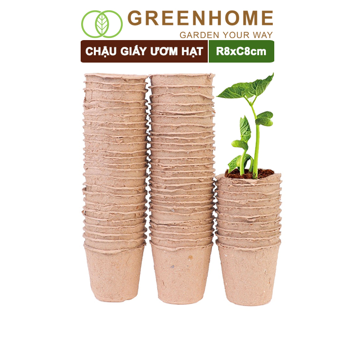 10 Chậu giấy ươm hạt, D8xR8cm, bằng giấy hữu cơ tự phân huỷ, tiện lợi, ươm cây giống, hạt giống |Greenhome