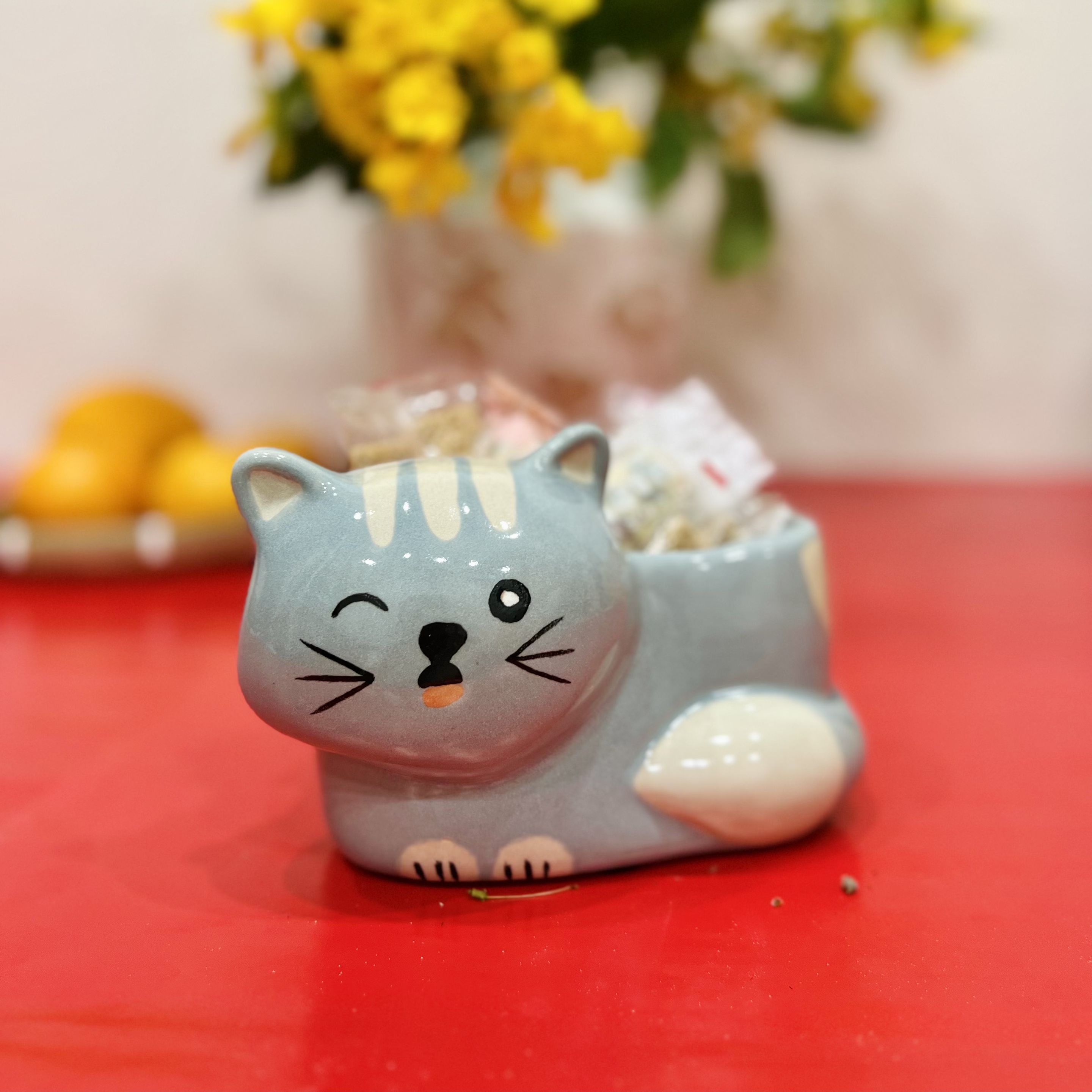 Chậu hoa gốm sứ trồng sen đá mini URSPACE trang trí phòng khách phong cách thiên nhiên