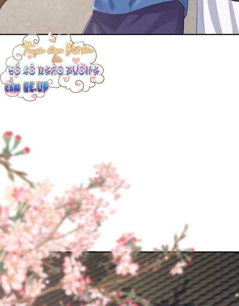 quận chúa vững vàng, thiết lập nhân vật không thể vỡ chapter 13 10