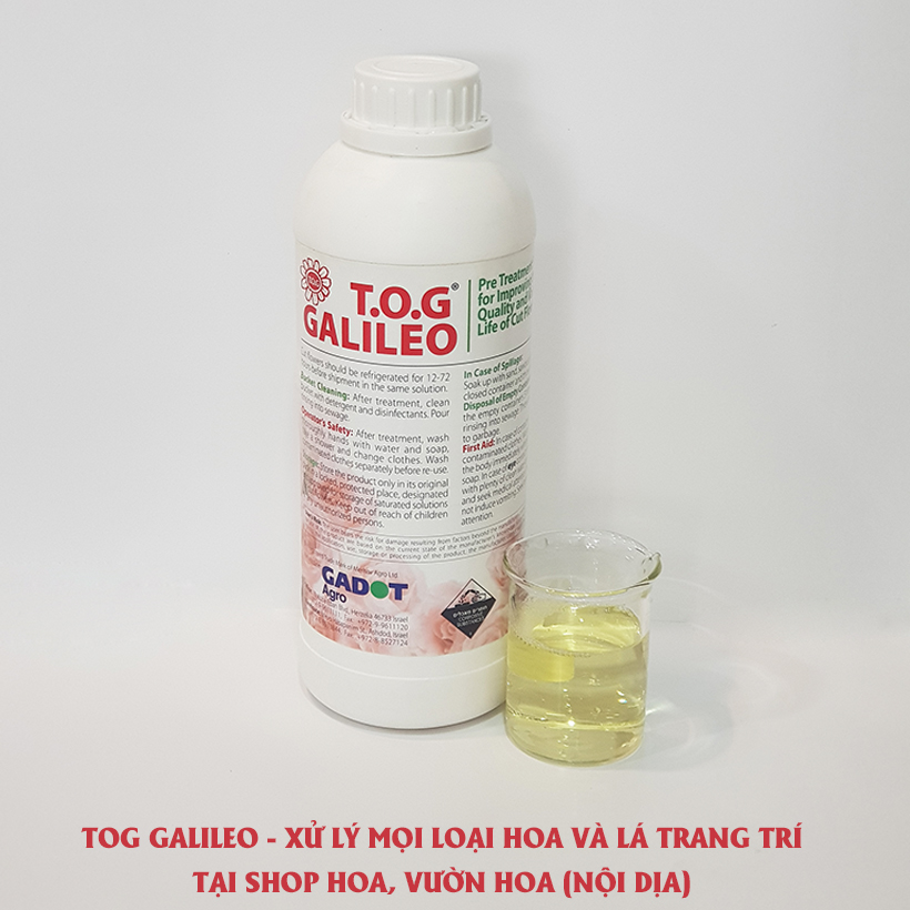 Dung Dịch Xử Lý Hoa TOG Galileo của ISRAEL  dùng bảo quản hoa cắt cành tươi lâu tại Nhà Vườn Trồng Hoa, Vựa Hoa và Chợ Sỉ Hoa. Tỷ lệ dung dịch 0.1% tức chai 1 Lít TOG pha được 1.000 Lít dung dịch xử lý hoa