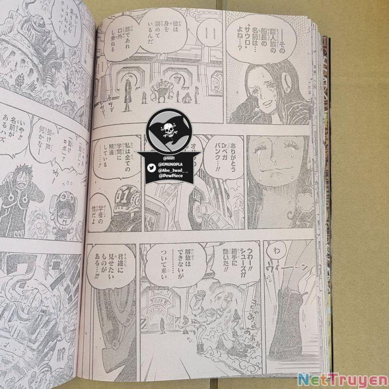 đảo hải tặc - one piece chapter 1066 14