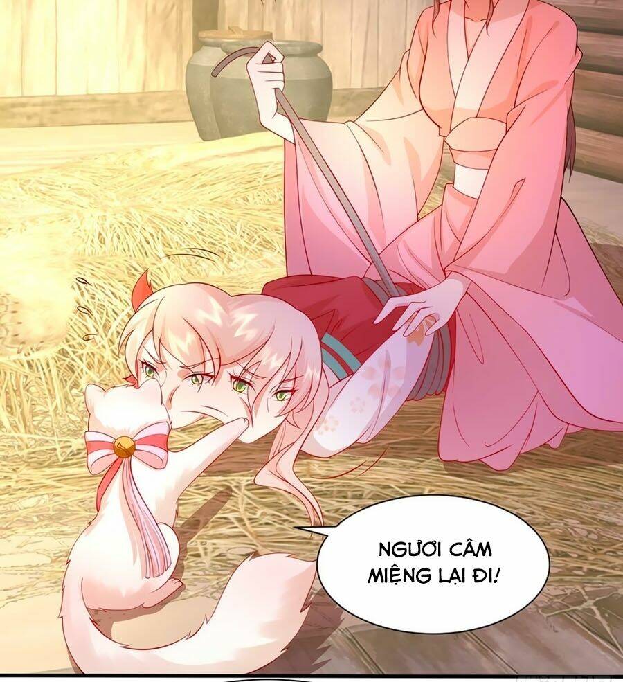 dưỡng thú vi phi chapter 12 23