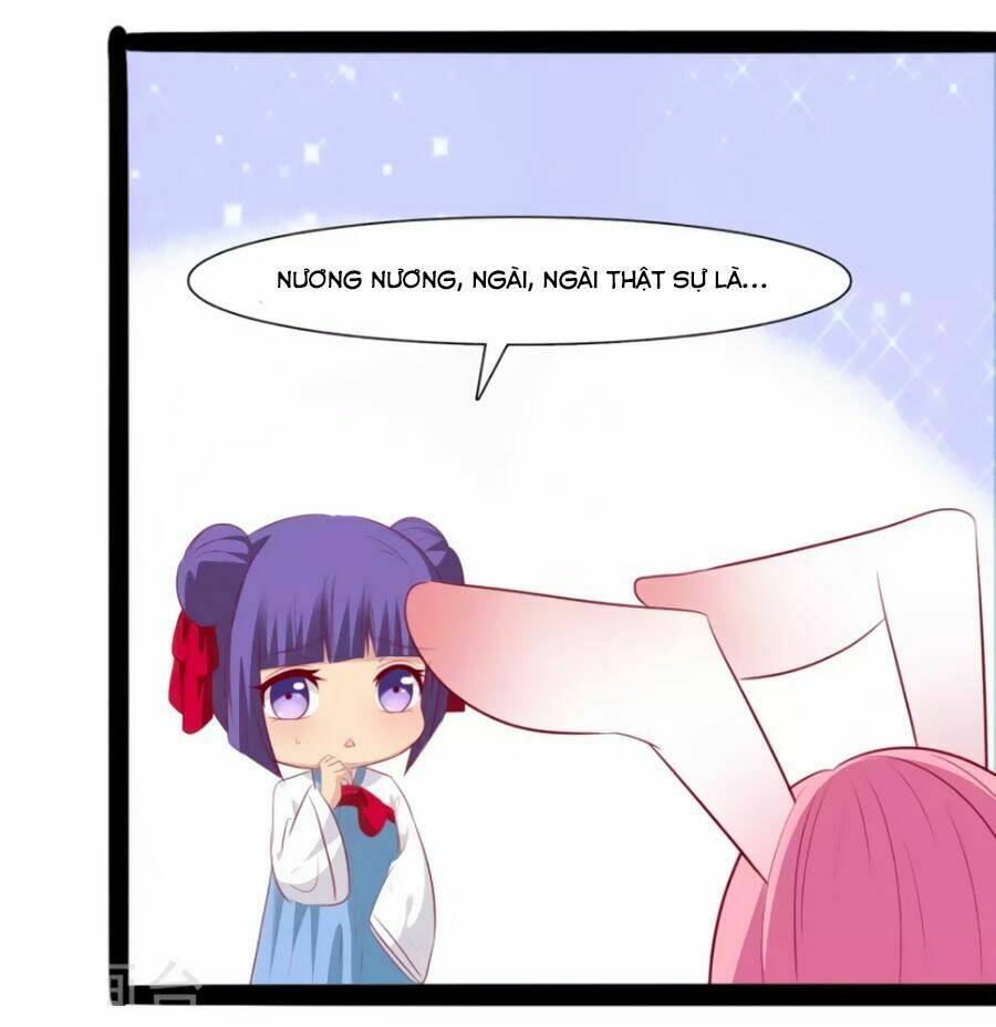 thỏ yêu tiểu vương phi chapter 33 19
