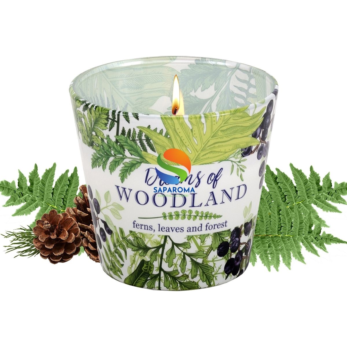 Ly nến thơm tinh dầu Bartek Dream of Woodland 115g QT04962 - cây dương sỉ, nến trang trí, thơm phòng, thư giãn, hỗ trợ khử mùi (giao mẫu ngẫu nhiên)