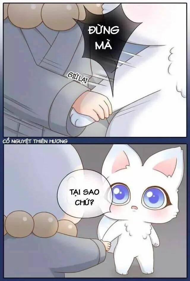 tiểu hồ ly vs tiểu hóa thượng chapter 66 18