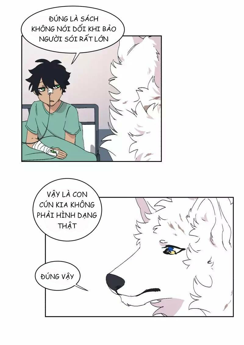 lumine - cội nguồn ánh sáng chapter 31 28