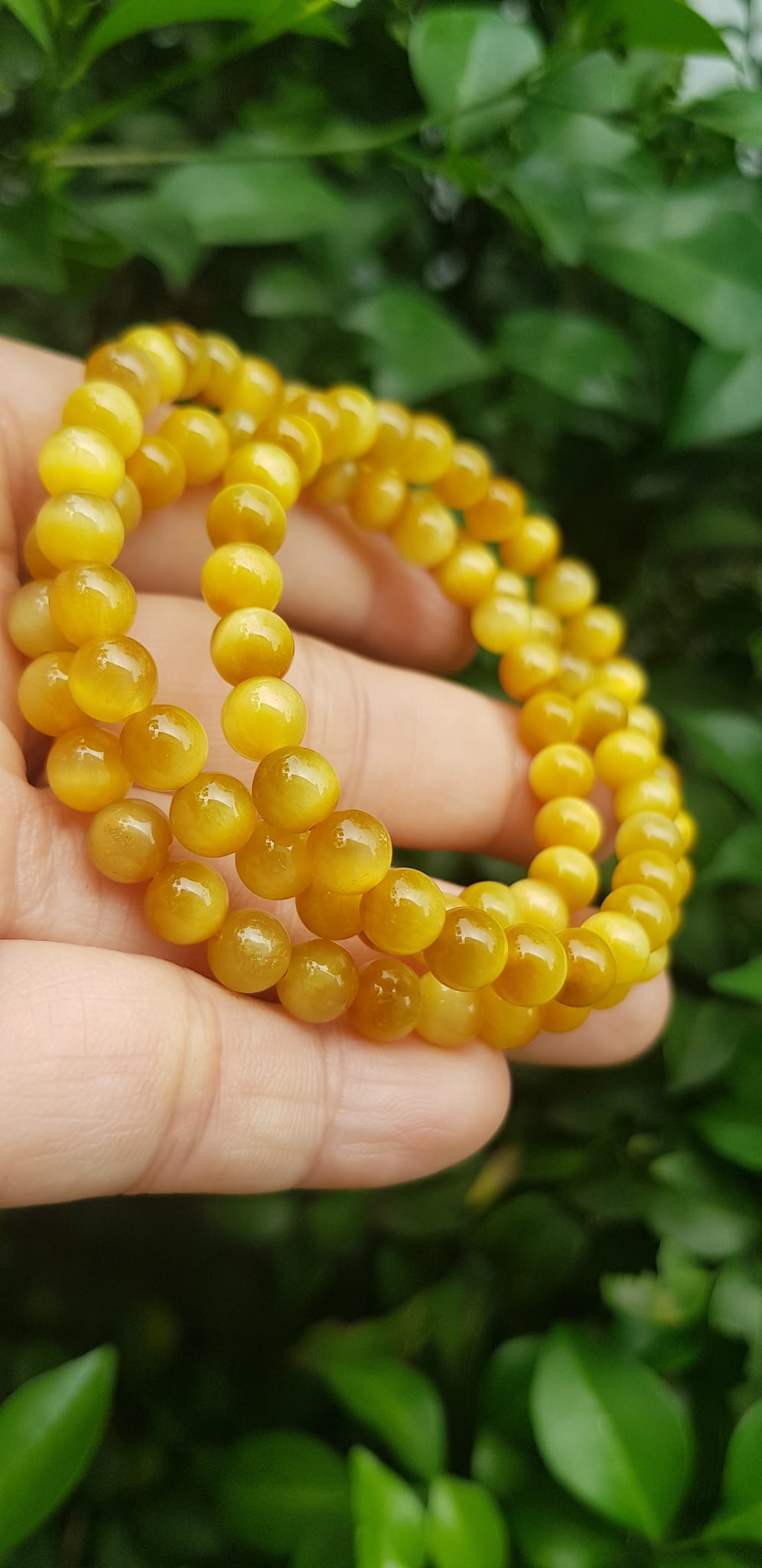 Vòng tay nữ đá mắt hổ tự nhiên vàng anh vip 6mm quấn tay 3 vòng đẹp vòng màu vàng anh tươi đẹp hợp nữ mệnh kim mệnh thổ mệnh thuỷ đeo tay may mắn xinh đẹp sang tay ạ