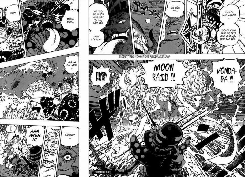 đảo hải tặc - one piece chapter 995 4