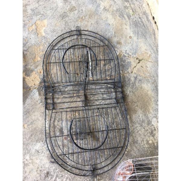 Mẹt bẫy chim treo cây và để đất bẫy bìm bịp