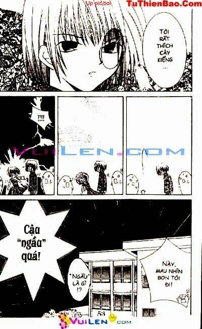 viên ngọc nhiệm màu chapter 2 53