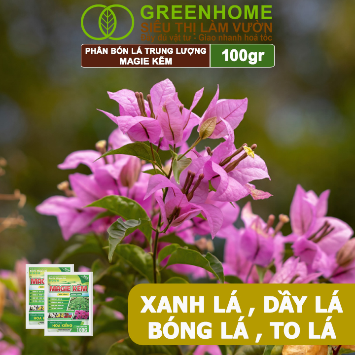 Phân Bón Lá Magie Kẽm, GreenHome, Gói 100GR, Chuyên Dùng Cho Hoa Kiểng