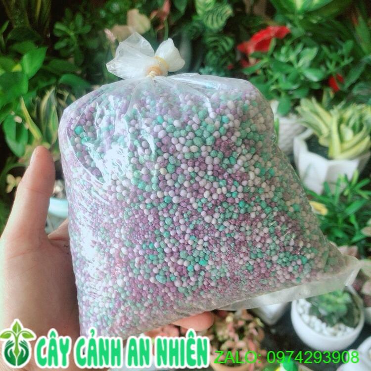 Phân Đạm Kích Thích Ra Rễ, Ra Hoa