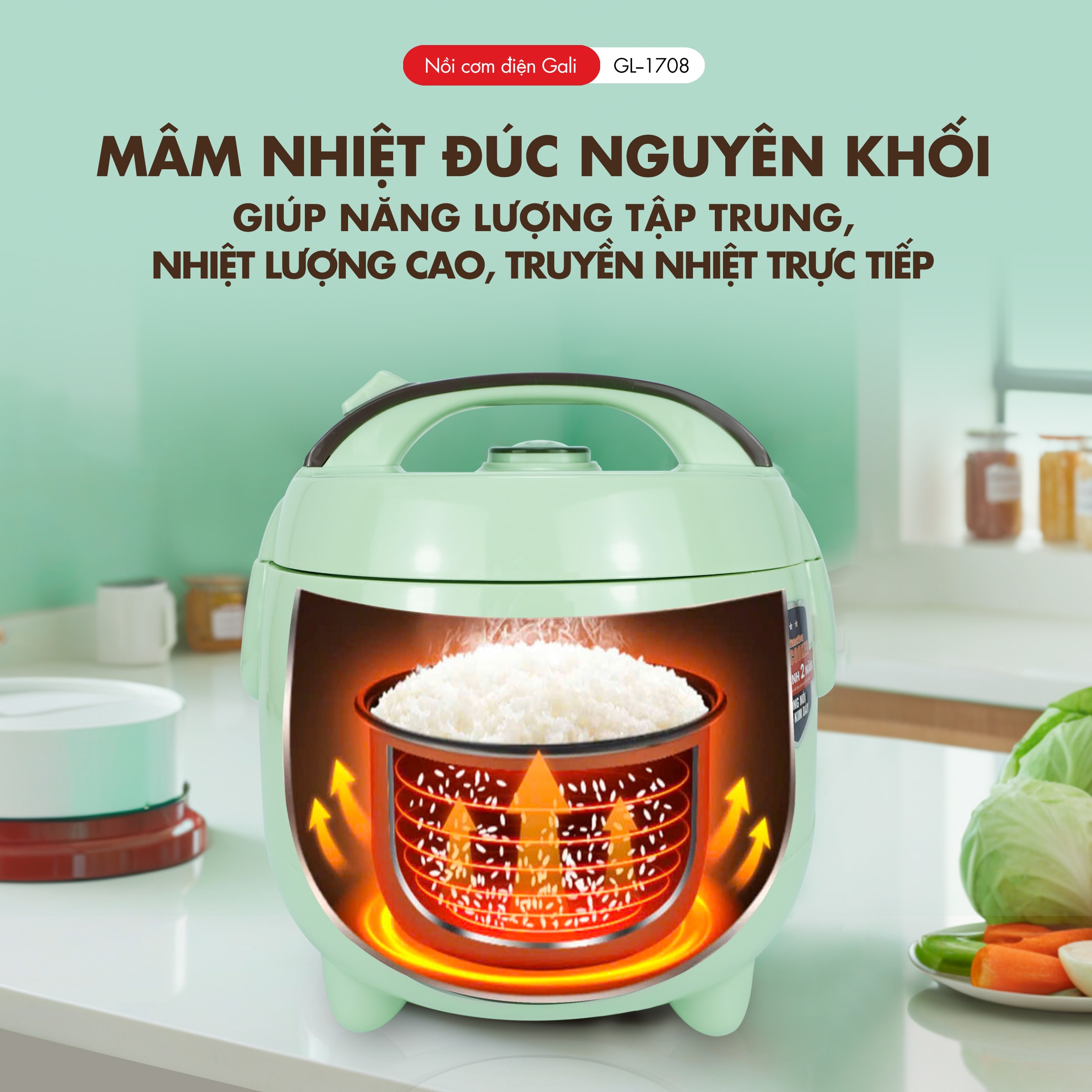 [Chính hãng] Nồi cơm điện GALI GL-1708 0.8 lít. Thiết kế nhỏ gọn, hiện đại, hàng nhập khẩu chất luọng cao, bảo hành 24 tháng