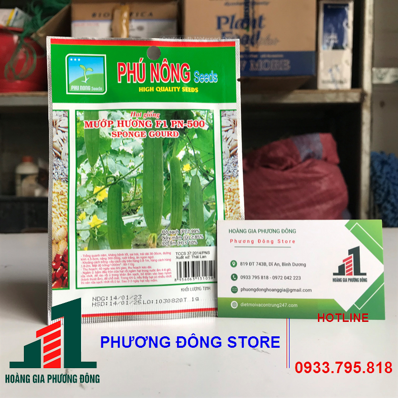 Combo 5-10 gói hạt giống Mướp hương F1 PN 500 , Mướp hương Thái Lan siêu trái, kháng bệnh tốt