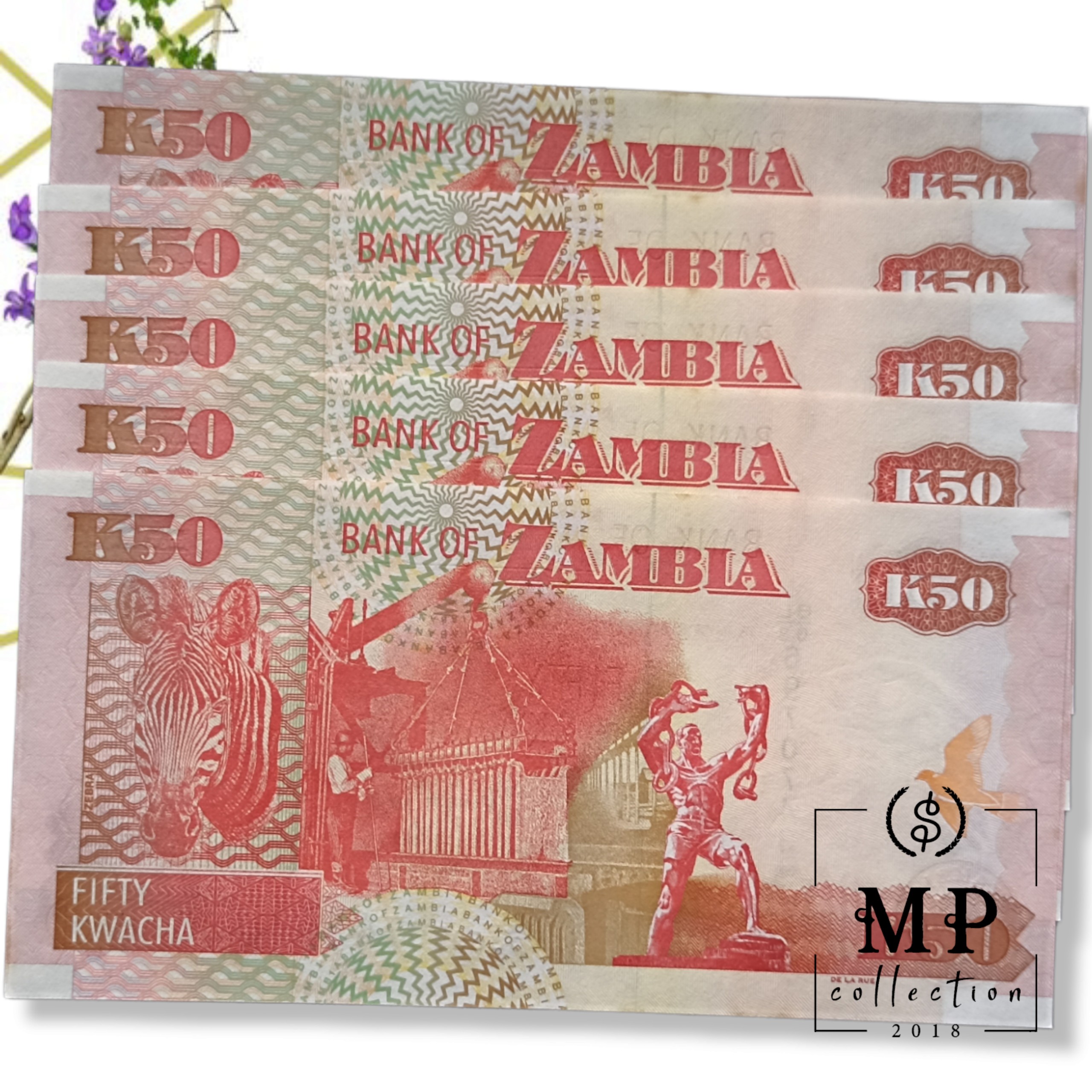 Tờ con ngựa của Zambia 50 Kwacha tuổi Ngọ sưu tầm , tiền châu Phi , Mới 100% UNC