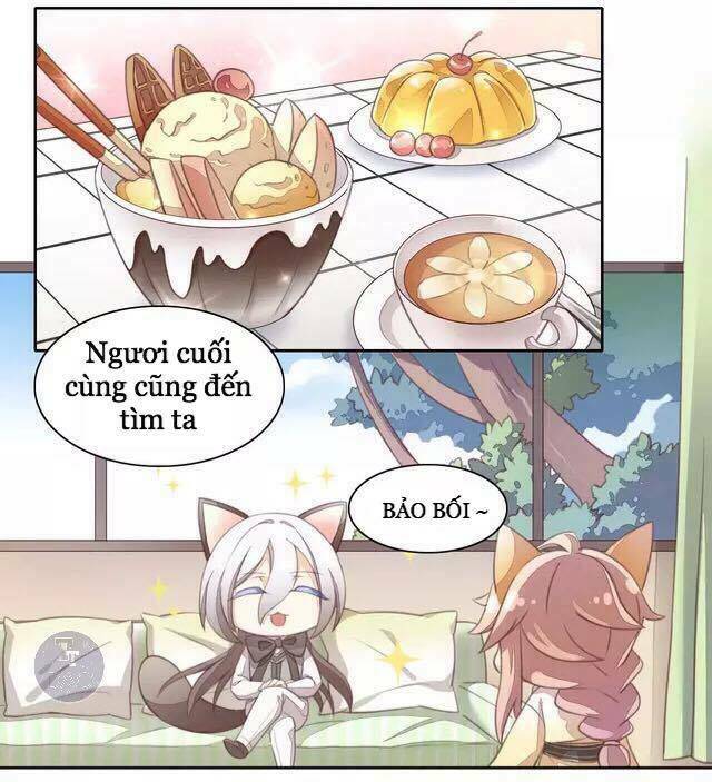 dưới móng vuốt mèo chapter 15 2