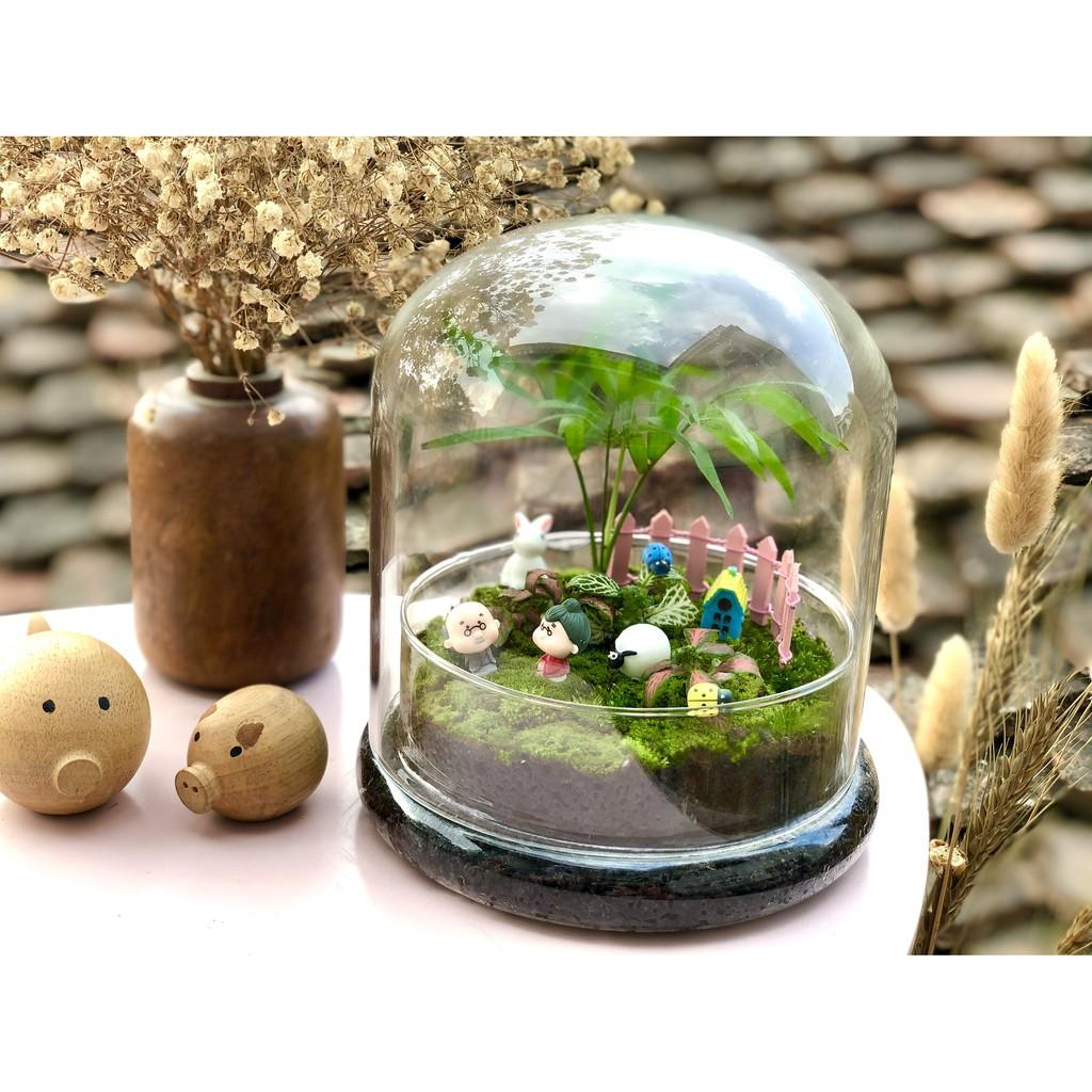 Combo Bình Terrarium, Đèn đế gỗ 3W, 1 tấc Rêu Weeping,03 ngọn Rêu đầu trắng, phân nền trộn dớn, 02 món trang trí