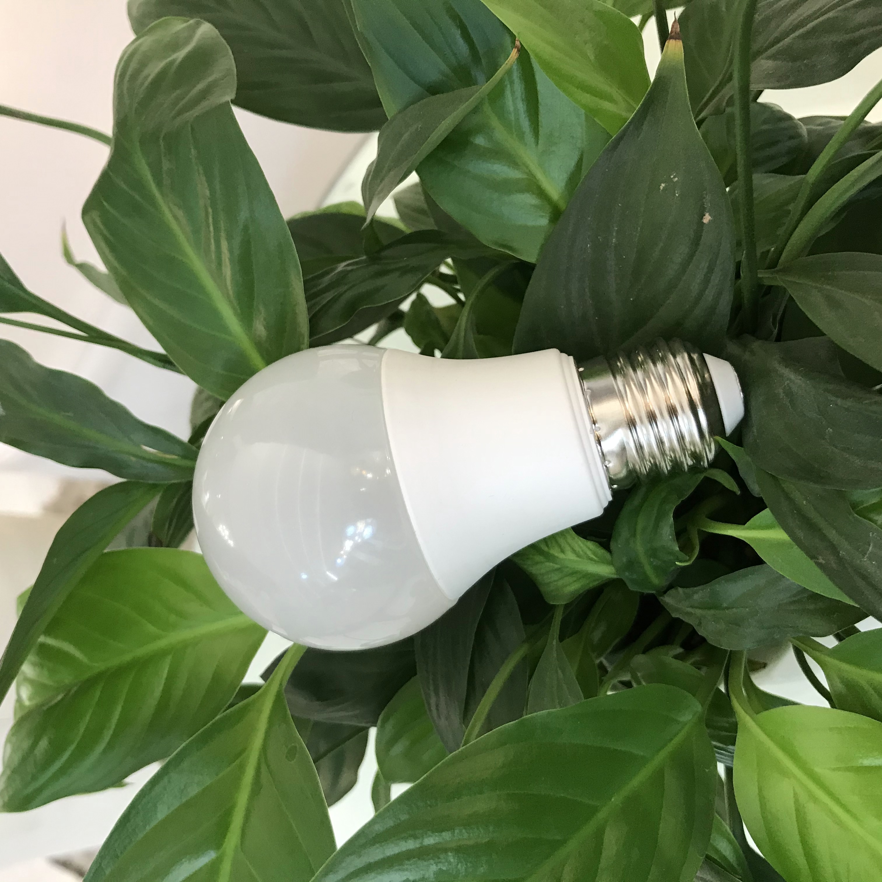 Bóng đèn LED bulb tròn LEDGOES 3W