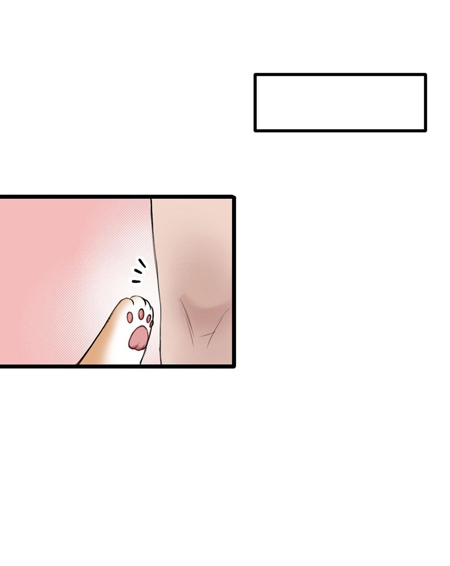 rốt cuộc bé mèo đang nghĩ gì ? chapter 18 15