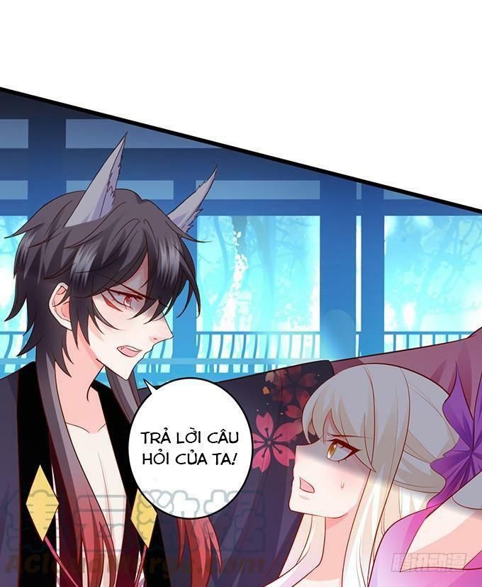 hồ tiên hung bạo chapter 135 19