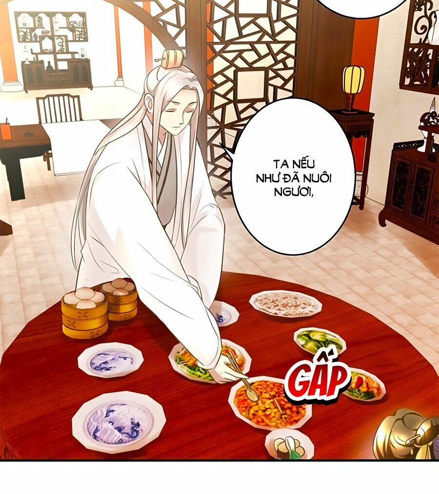 thuần phi ký chapter 13 2