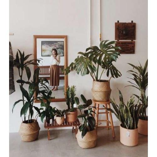 Giỏ cói đa năng BELLY làm chậu cây, đựng đồ decor phòng khách/phòng ngủ/ban công phong cách vintage