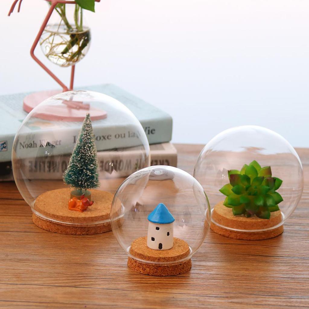 3x Glass Spherical Cover Landscape Terrarium Container Lid Vase Bottle 12cm