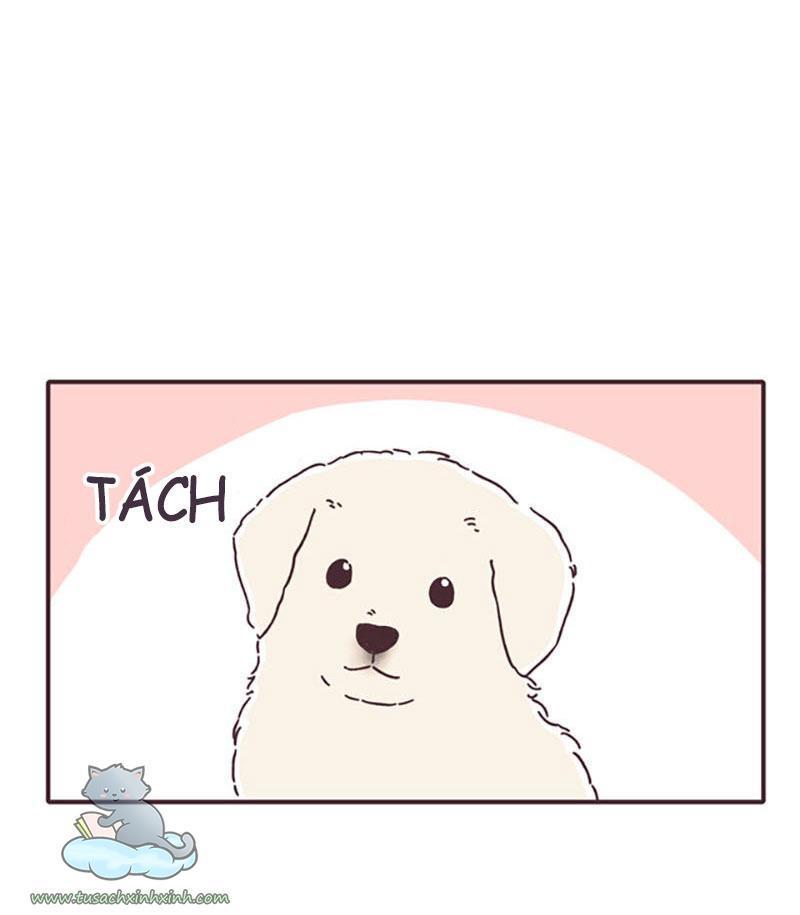 ngày định mệnh của đôi ta chapter 16 70