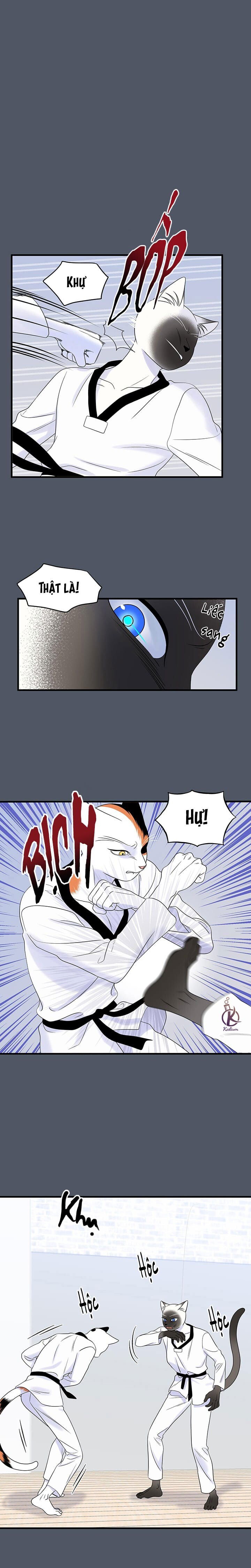 dự án xanh chapter 40 10