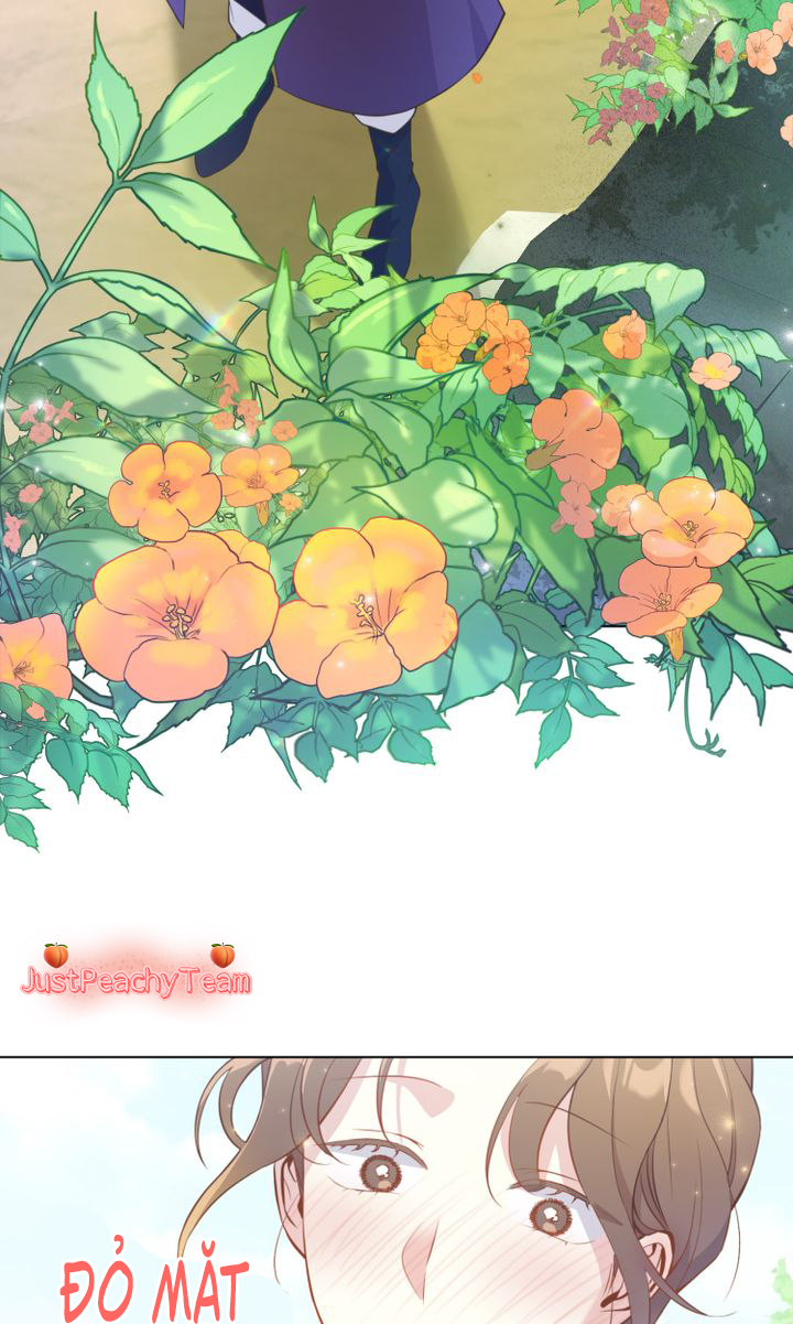 khi những nụ hoa nở rộ chapter 2 56