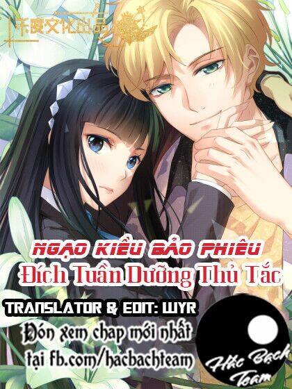 ngạo kiều bảo phiêu đích tuần dưỡng thủ tắt chapter 1 1