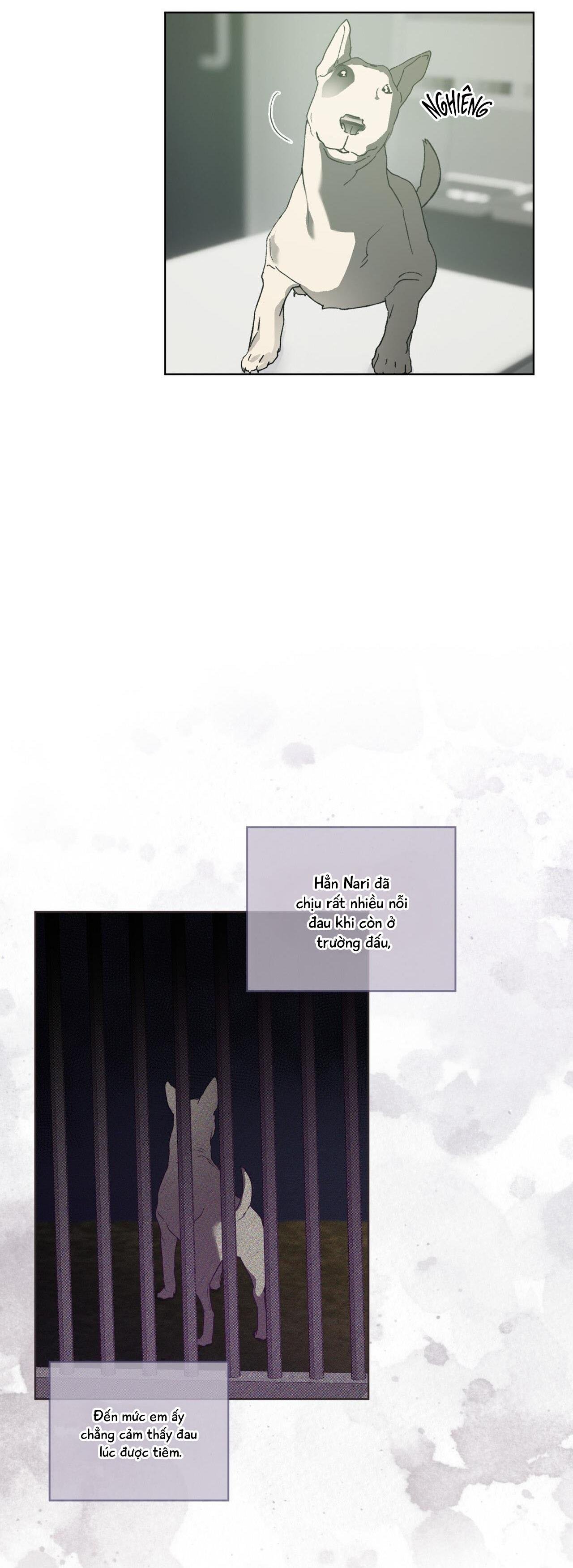 hồi ức của nhịp thở chapter 29 33