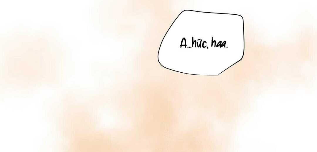 guide cấp b chapter 41 106