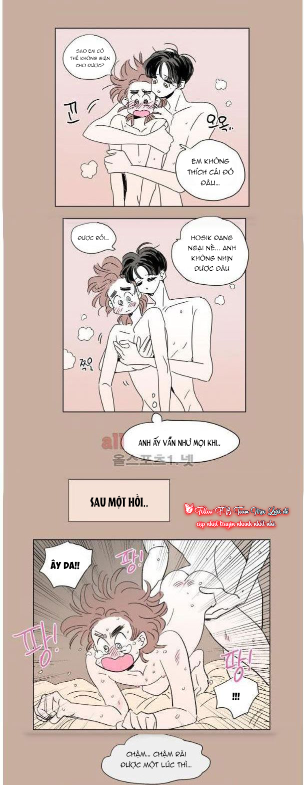 câu chuyện của hosik chapter 43 15