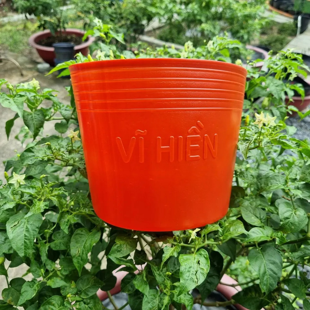 200 Chậu Nhựa Đỏ C9 Miệng,cao,đáy 23x16x16.5cm trồng cây ăn trái và hoa siêu bền-77700