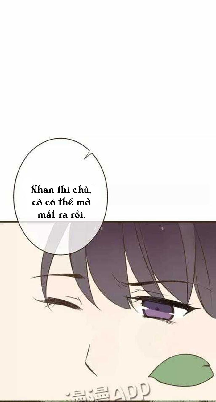 trên trời rớt xuống một hòa thượng ngốc chapter 13 8