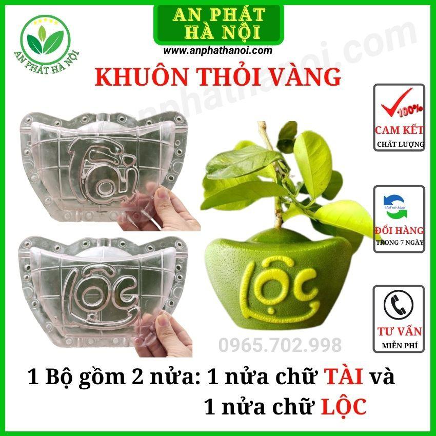 Khuôn Bưởi thỏi vàng số 3 - Bưởi Da Xanh - Khuôn tạo hình trái cây loại đẹp, dày, bền, in chữ TÀI LỘC