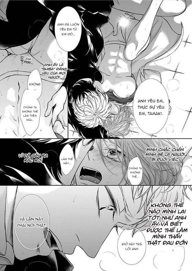 cơ hội thứ hai chapter 14.2 13