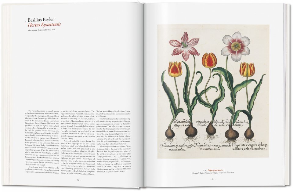 A Garden Eden. Masterpieces of Botanical Illustration