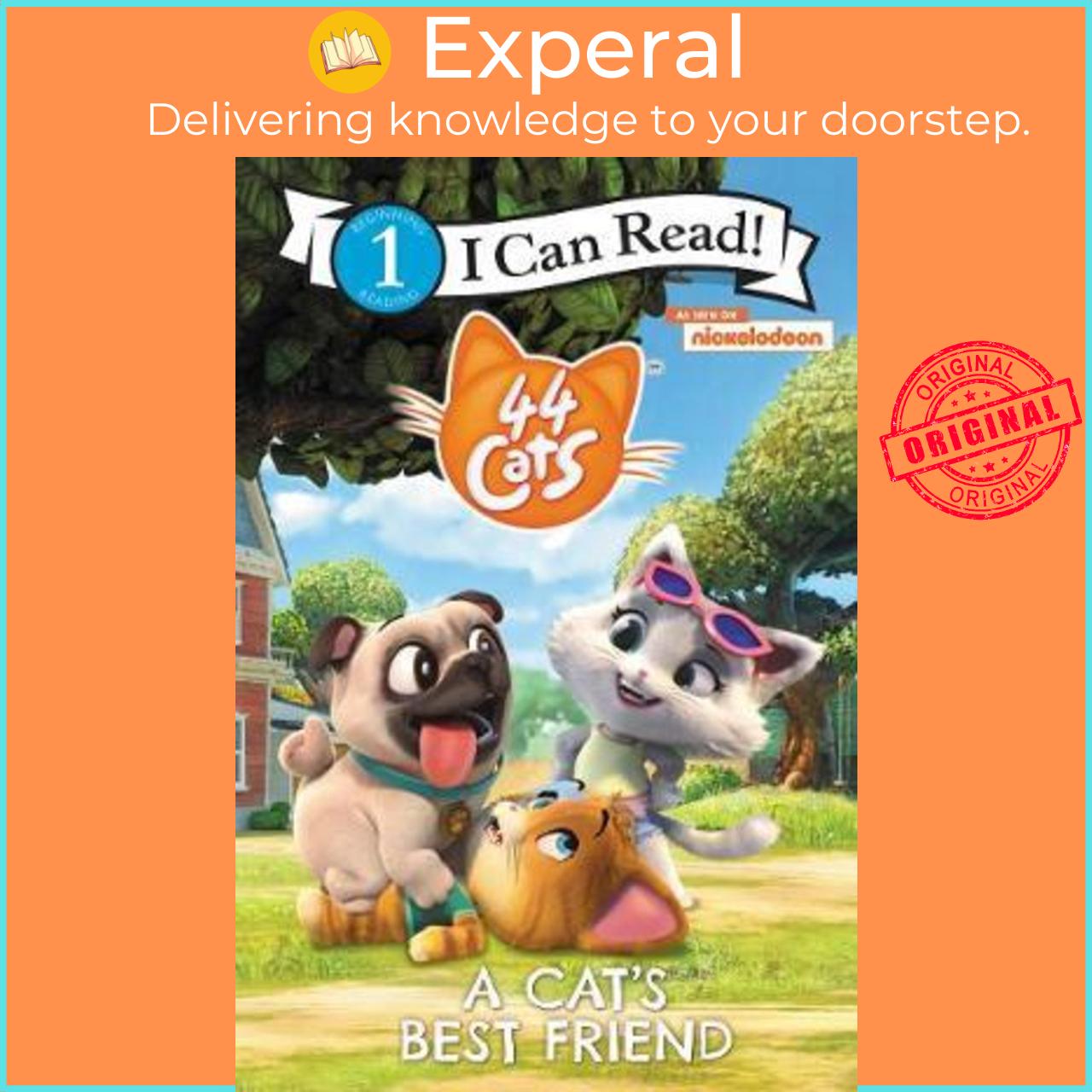 Sách - 44 Cats: A Cat's Best Friend by Rainbow