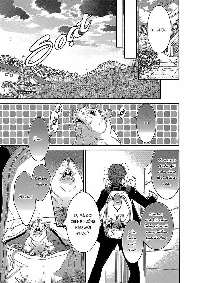 oinarisama no honey bunny chapter 12 17