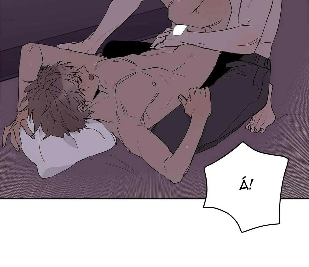 guide cấp b chapter 21 41